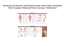 Download_p D F Muscular And Skeletal Systems Study Guide