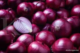 3 cara cegah berat badan naik saat lebaran. 7 Manfaat Bawang Merah Untuk Kesehatan Obat Demam Sampai Mencegah Kanker