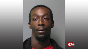 Man arrested for killing two dogs