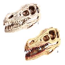 Check spelling or type a new query. Buy Resin Raptor Dinosaur Skull Fossil Model Pub Bar Decor Collectibles White At Affordable Prices Free Shipping Real Reviews With Photos Joom