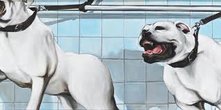 Résultat de recherche d'images pour "biljana djurdjevic"