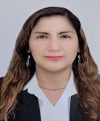 Autónoma Virtual: Plana Docente