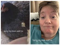 I couldn't resist………. 🤣🤣🤣