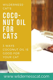 Coconut Oil For Cats 3 Ways Coconut Oil Is Good For Your Cat In 2020 Coconut Oil For Cats Oil For Dry Skin Cat Skin