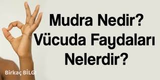 Mudra Nedir Cesitleri Ve Vucudumuza Olan Etkisi Nelerdir Saglik Ipuclari Saglik Cakra Meditasyonu
