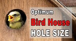 We did not find results for: Bird House Plans 25 Free Beginner Birdhouse Designs Patterns Monograms Stencils Diy Projects