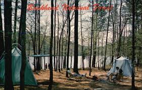 Corinth and clear creek campgrounds are located in the bankhead national forest. Brushy Lake Campsite Bankhead National Forest Alabama