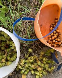 Olga Ray (@olgarayray) • Instagram photos and videos