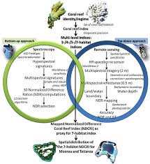 flowchart of the overarching methodology portraying the