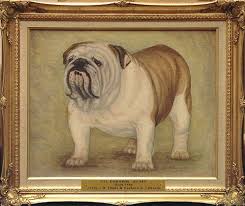 Ch Edward's Elegant Rose