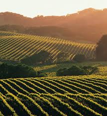 Careers Domaine Chandon Us