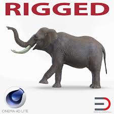 Excellent Realistic 3d Model Of An Elephant The Model Can Be Easily Animated Contains Bones Cinema 4d Format Als Cinema 4d Elephant Icon Design Inspiration