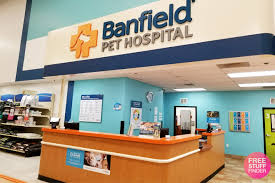 Banfield is the largest privately owned. Banfield Pet Hospital Pet S Gallery