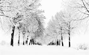 Fonditos dulce invierno paisajes montañas. Escena De Nieve Fria Invierno Hd Fondo De Escritorio Lista De Albumes Pagina1 10wallpaper Com