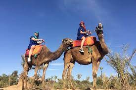What is the majorelle garden and palmeraie camel ride marrakech cancellation policy? Tripadvisor Majorelle Garden And Palmeraie Camel Ride Marrakech Provided By Premium Transfers Tours Navette4you Marrakech Safi