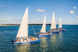 Image result for Selago barabei