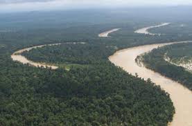 Sungai ini memiliki panjang hingga 6.650 km dan melewati 9 negara, yakni mesir, ethiopia, zaire, kenya, uganda, tanzania, rwanda, burundi, dan sudan. Geografi T 1 Bab 7 2 Sg Tasik Utama Di Malaysia Quiz Quizizz
