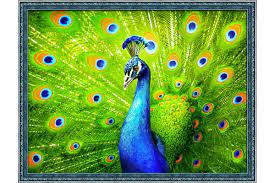 We did not find results for: Cross Stitch Corner Diamond Painting Artibalta Beautiful Peacock