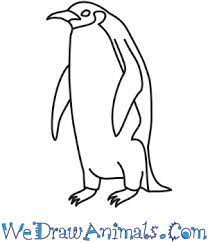 Begin your emperor penguin by drawing an ellipse with a gap left open on the left side. How To Draw An Emperor Penguin