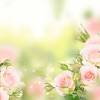 Don't get us wrong, pink and green doesn't have to be all about setting new trends. 1