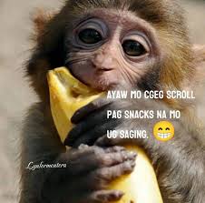 Legit resbacker here... Follow me and I will follow you all🥰🤚