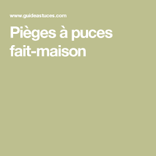 Pieges A Puces Fait Maison Fait Maison Puce Faire Soi Meme
