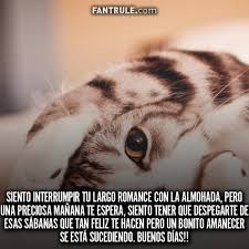 Check spelling or type a new query. Imagenes De Buenos Dias Para Whatsapp Me Gusta Imagenes Para Whatsapp Frases Y Perfil Fotos Para Mostrar