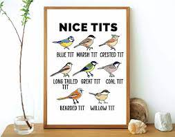 Nice Tits Poster, Bird Watching Wall Art, Erotic Home Decor Poster, No  frame | eBay