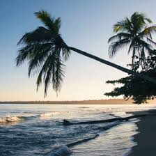 L'organisation de notre voyage a été parfait.nous avons passé un excellent séjour en australie, vu des choses fantastiques : Voyage En Australie Vacances En Australie Sur Mesure Evaneos