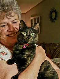 My Hazel...she is my baby, she is at least 10 years old and is the smartest  cat, she plays fetch and brings her tiny rubber ball back to me...and  sleeps next me