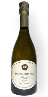 Image result for Passerina