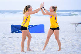 Image result for Deverra burchellii