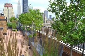 Pin By Guo Jimmy On The Garden Roof Garden Garden Design Roof Garden Design