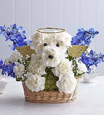 We did not find results for: All Dogs Go To Heaven La Habra Ca Florist