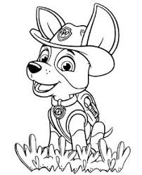 Puppy, dog, wolf, kitten, unicorn, coloring pages for kids, my little pony. 310 Paw Patrol Coloring Pages Ideas Paw Patrol Coloring Pages Paw Patrol Coloring Paw Patrol
