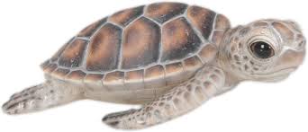 Flat back sea turtle statues: Baby Sea Turtle Statue 6 5 L Natures Gallery All Products Bc83599 Allsculptures Com