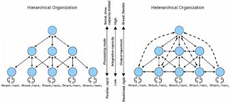 is heterarchy the answer to the crisis of hierarchy ipma