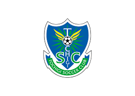 Tochigi SC brand resources: accessing high-guality vector logo SVG, brand  colors, and more.