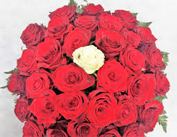 Mazzo di rose rosse per compleanno. Centrotavola Di Rose Rosse Con Una Rosa Bianca Centrale Iviare Fiori A Milan