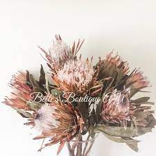 Dried Pink Ice Protea Flowers Preserved Australian Native Etsy Australian Flowers Australian Native Flowers Woodland Wedding Decorations