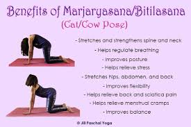 Benefits Of Practicing Cat Cow Pose Stretching Exercises How To Do Yoga How To Relieve Stress