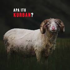 Rate this post waktu menyembelih qurban : Apa Itu Kurban Qurban Dalam Islam Zakat Or Id