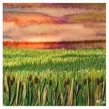 Profile for Colorful Surroundings