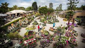 Roger S Gardens In Newport Beach Garden Flowers Rogers Gardens Outdoor Plants Garden Visits