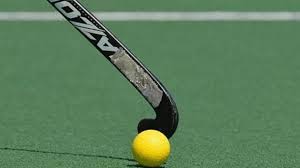 Maple leafs forward gets two goals in under 40 seconds in. Getting To The Root Of The Hockey Problem Hindustan Times