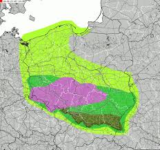 Radar burzowy na żywo pokazuje przemieszczające się dziś chmury i komórki. Mapy Burzowe Ostrzezenia Pogodowe