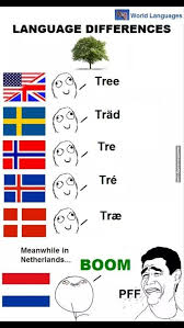 Language Differences Tree More Than Reality Grappige Grappen Memes Grappig Disney Humor