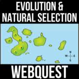An overall change of a populations gene pool over time through processes such as mutation and natural selection. Natural Selection Webquest Worksheets Teachers Pay Teachers