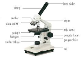 Contoh Alat Optik Dan Prinsip Kerjanya