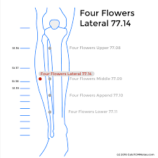 Catstcmnotes Com Four Flowers Lateral Or Sihuawai Master